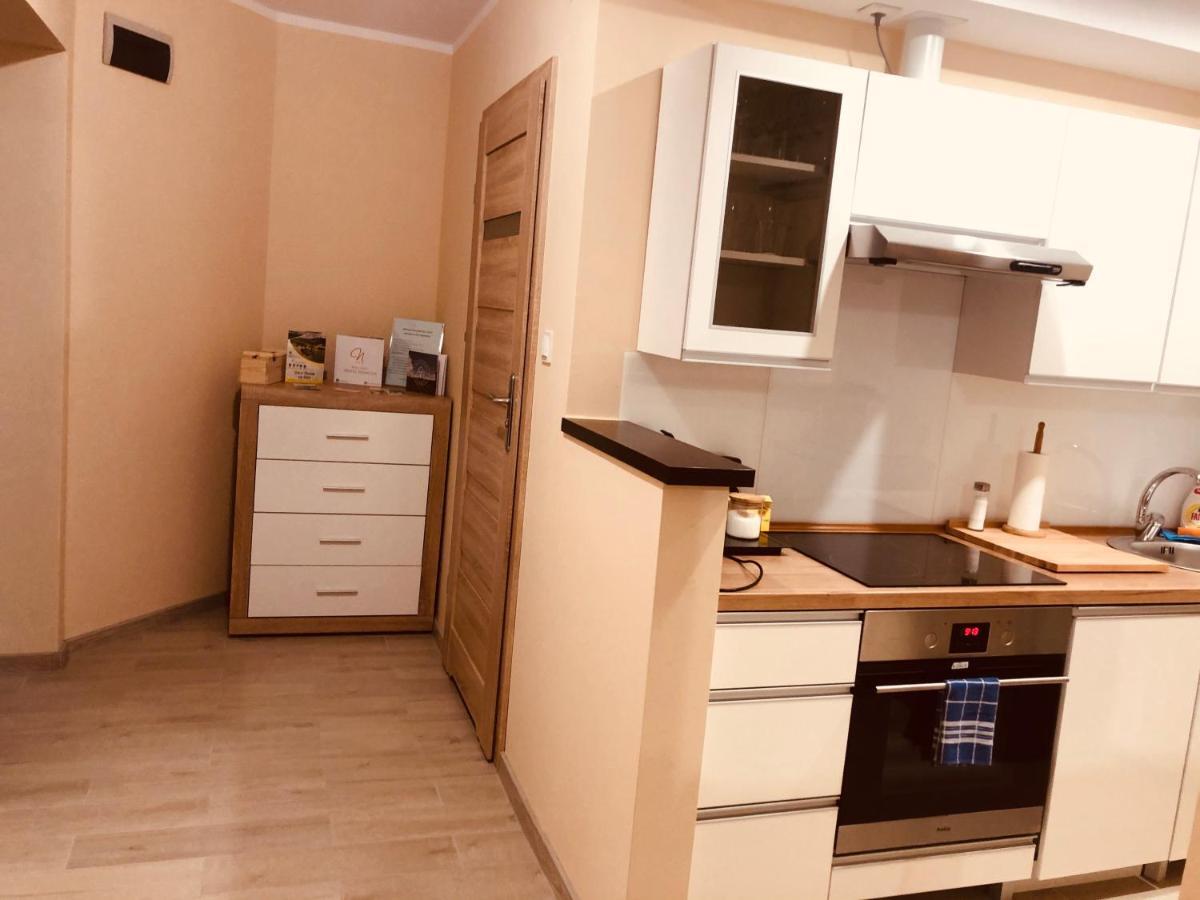 Apartamenty Alicja Dzierżoniów Exteriör bild